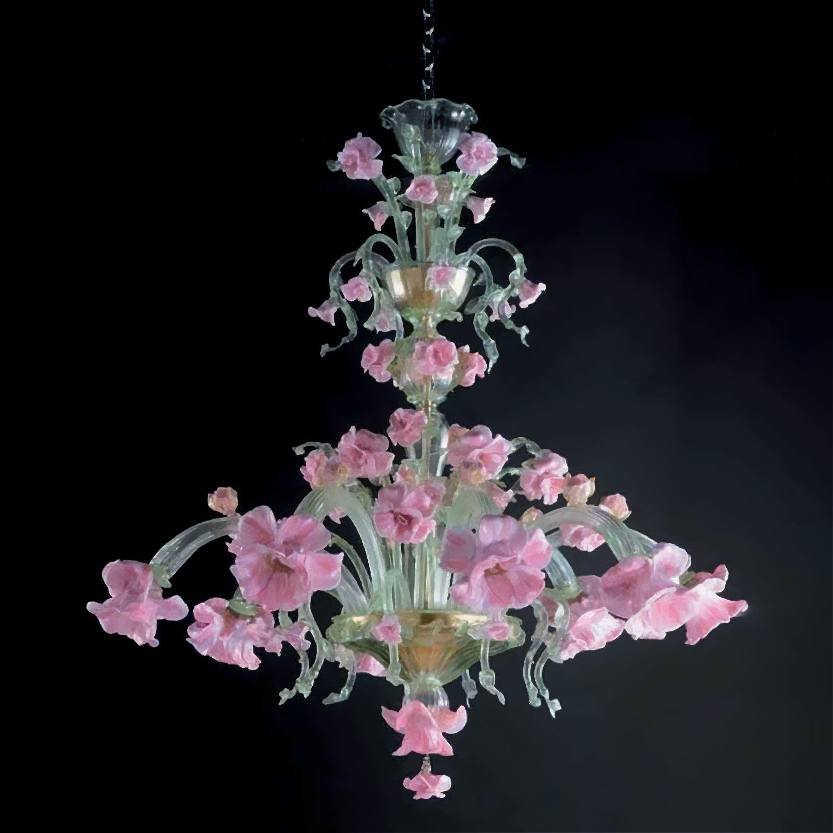 FENICE Rosa Fenice 8L